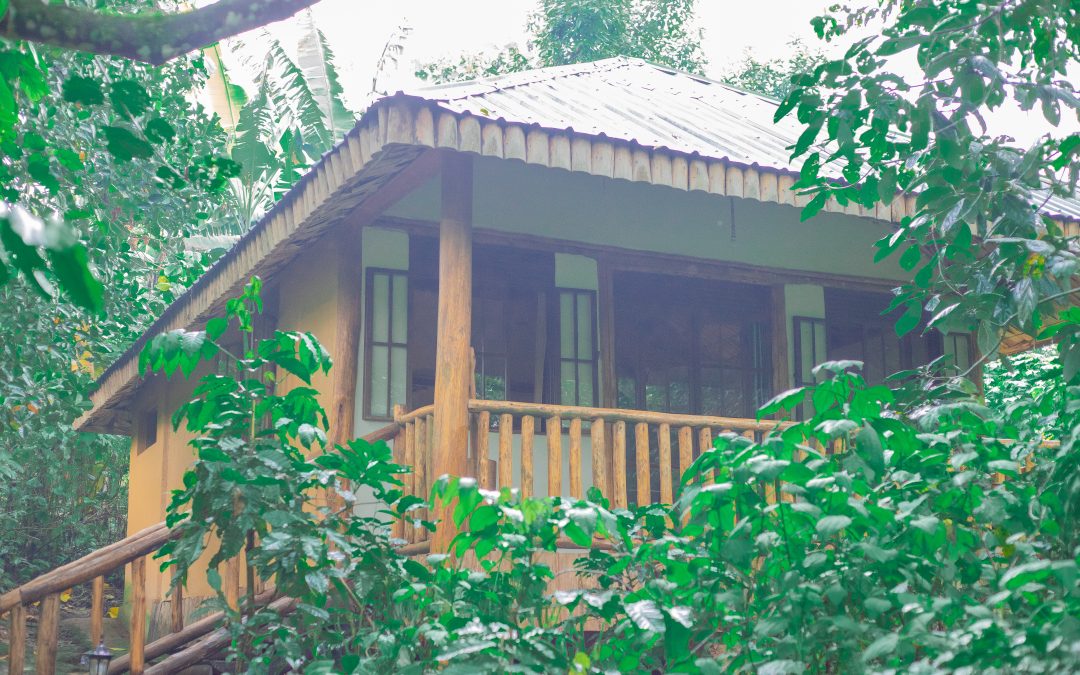 Buhoma Gorilla Camp: Where the forest breathes, and the gorillas live