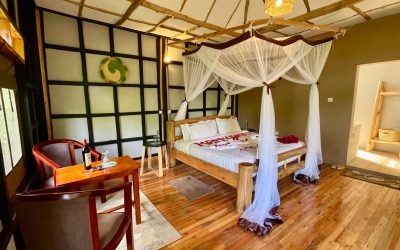 Irungu Forest Safari Lodge: Where wilderness meets comfort on the edge of Uganda’s greatest wildlife frontier