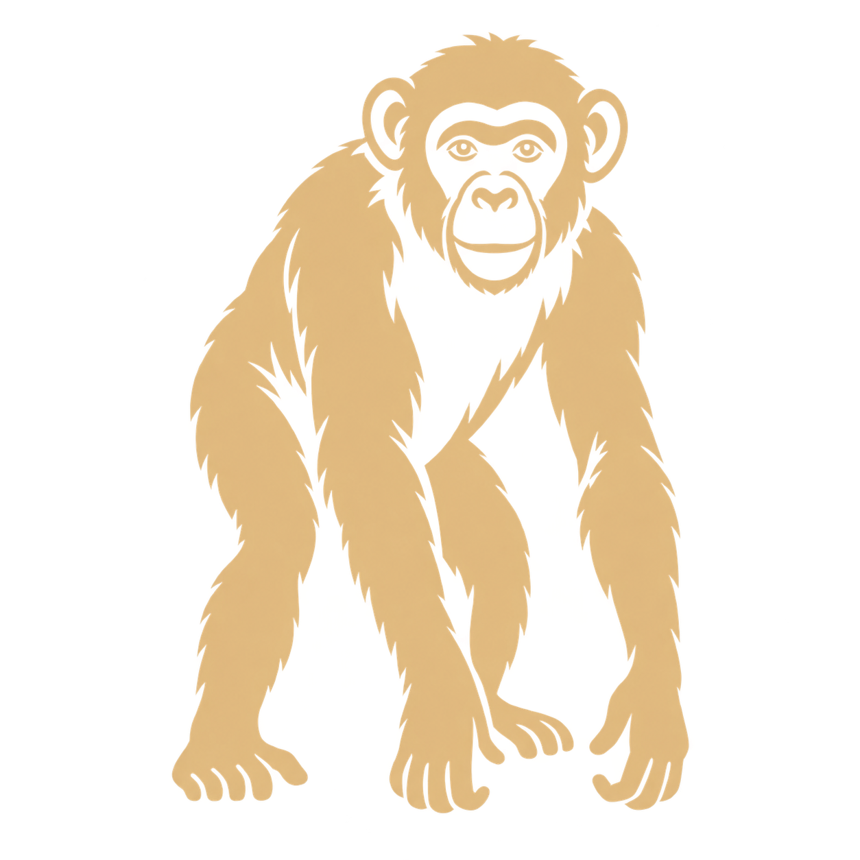 image_chimpanzee_in_nyungwe_rwanda