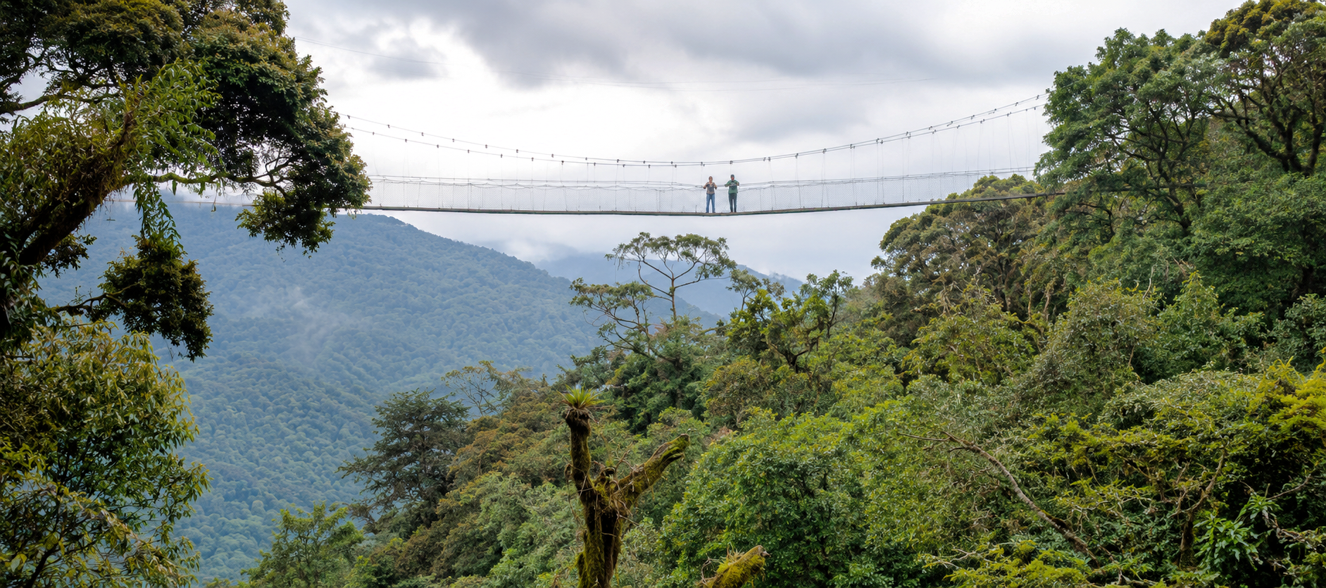 image_nyungwe_forest_national_park_native_expeditions_uganda