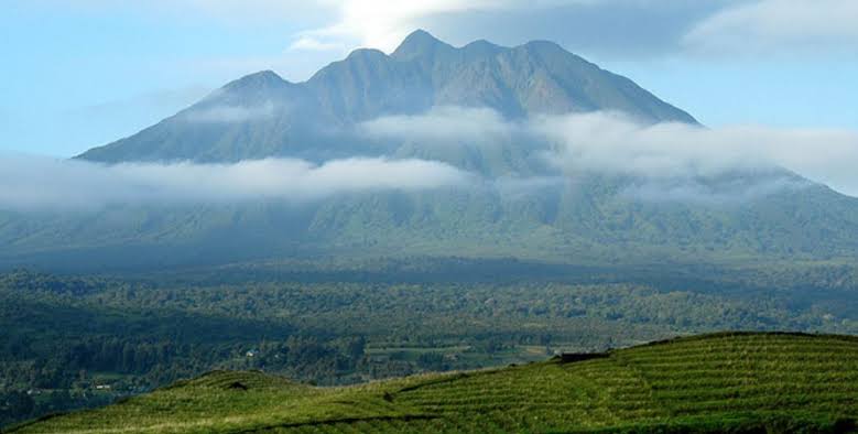 image_buffalo_in_kidepo_valley_natitonal_park